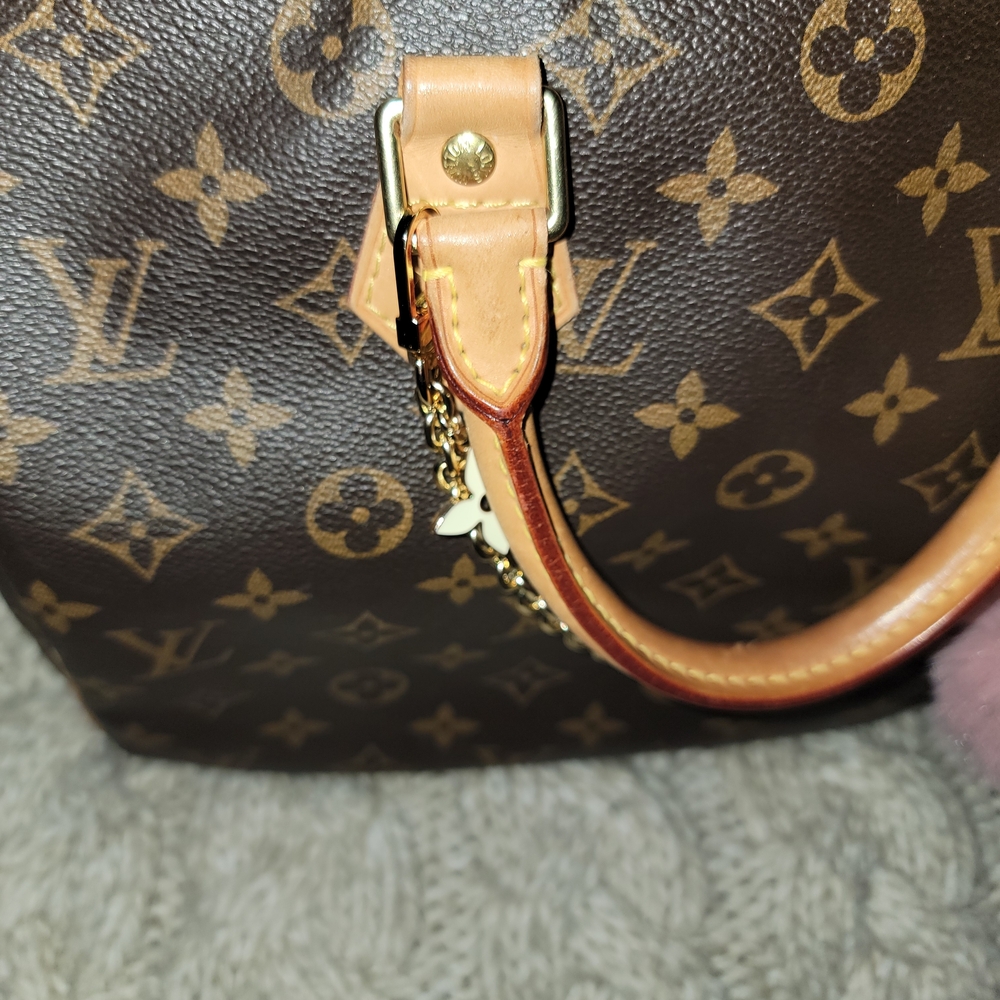 Louis Vuitton Brown Monogram Handbag - Picture 4 of 8